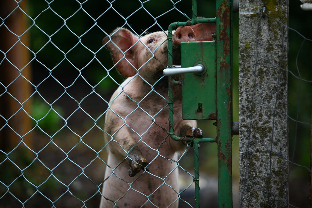 Nussbaumer Am Irrsee Tiefgraben Exterior foto